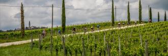 La Ronda Fiandre Trevigiane